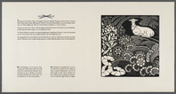 KG 1993 001b
<br/>
Geit
<br/>
<em>Grootens, Adrianus Johannes (1864-1957)</em>